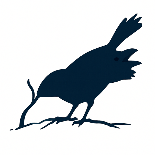 Castle Gardens Surgery